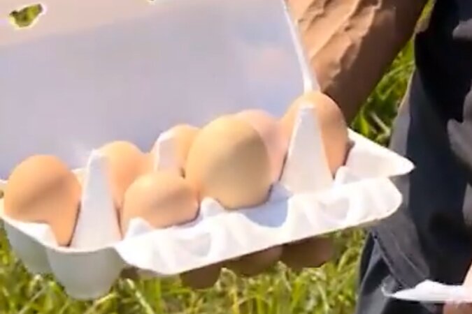 Riesiges Ei. Quelle: Screenshot Youtube