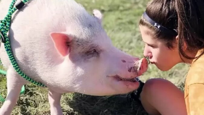 Ein Mädchen und ein Schwein. Quelle: ntdtv.com